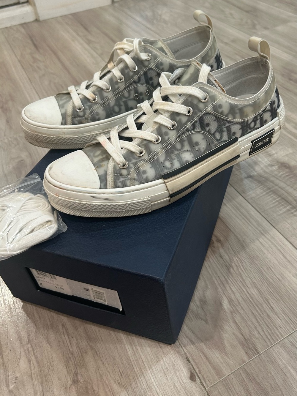 Dior Transparent Oblique Low-Top Sneakers in Gray and White